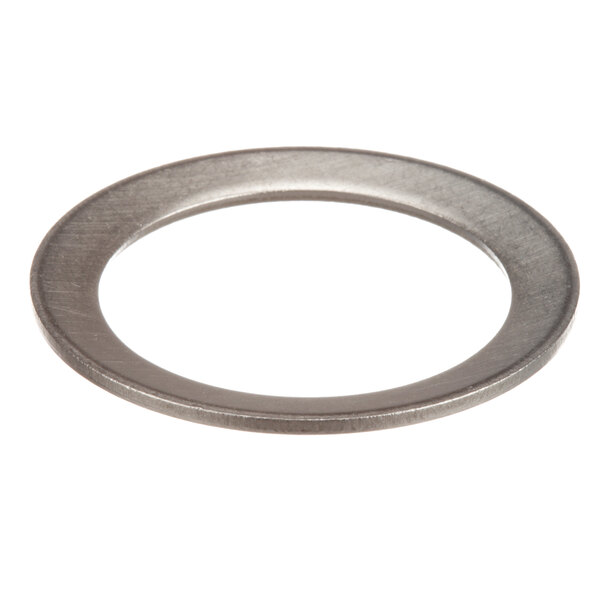 A close-up of a stainless steel Champion washer ring.