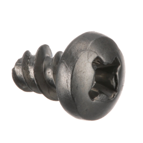 A close-up of a Scotsman screw with a hole in it.