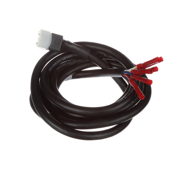 A black cable with red and white connectors.