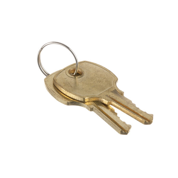 True Refrigeration 831306 Keys 2/Set