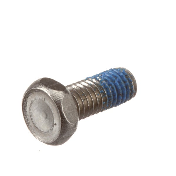A close-up of a Champion bolt with blue and white threads.