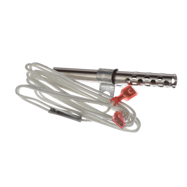 A metal rod with wires attached, the Southbend 1195748 Igniter.