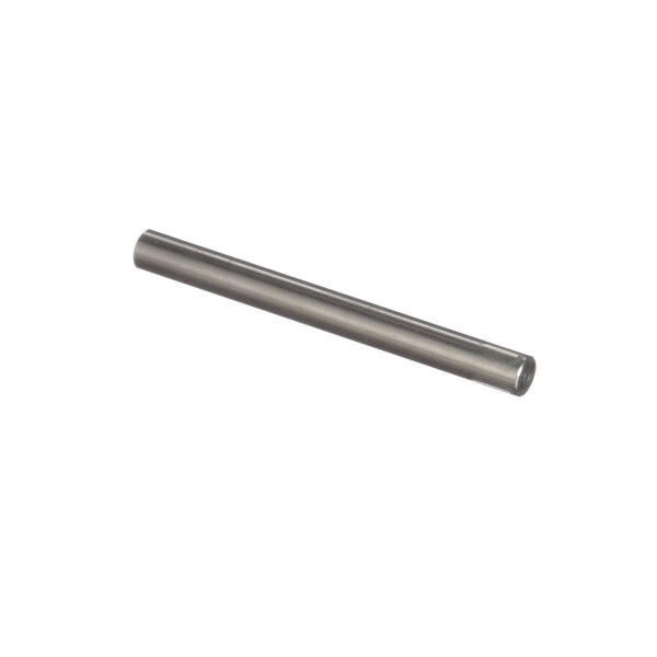 An Electrolux Professional hinge handle hinge pin, a metal rod on a white background.