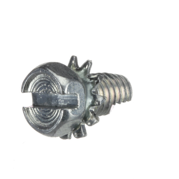A Beverage-Air screw with a metal head.
