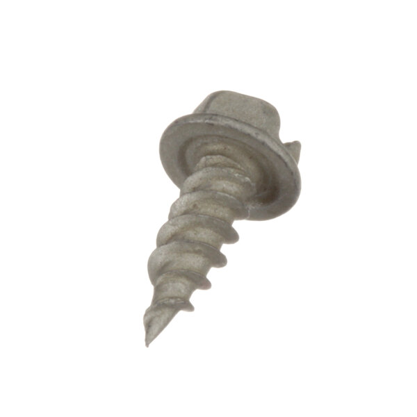 A close-up of a Norlake screw with a metal head.