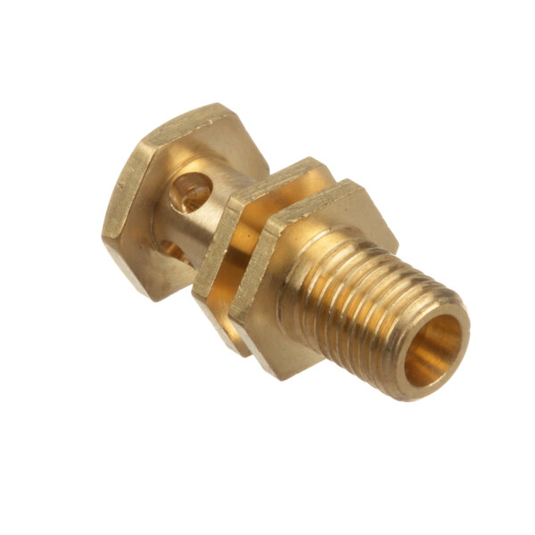 A close-up of an Electrolux Professional brass threaded male connector with a gold metal nut.