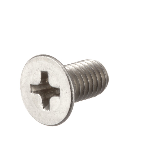 A Champion screw with a cross on the head.
