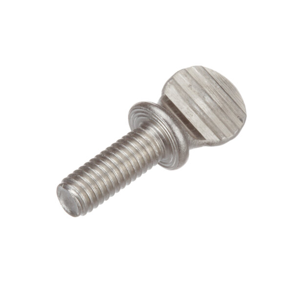 A close-up of a Glastender pump mount screw with a metal head.