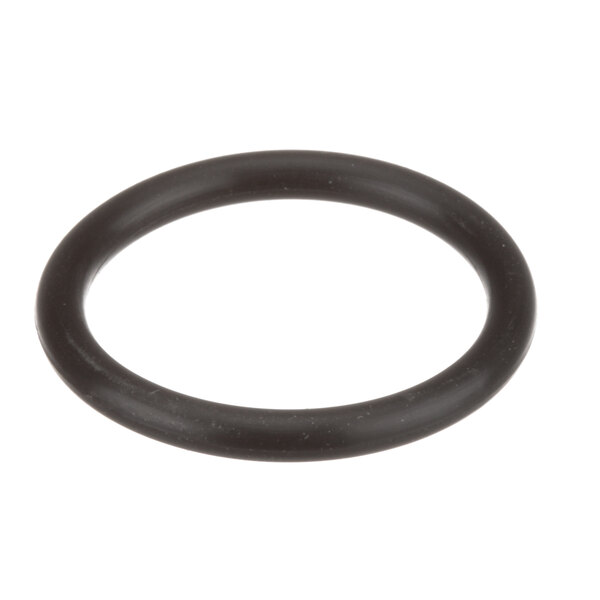 A black rubber SaniServ O-ring.