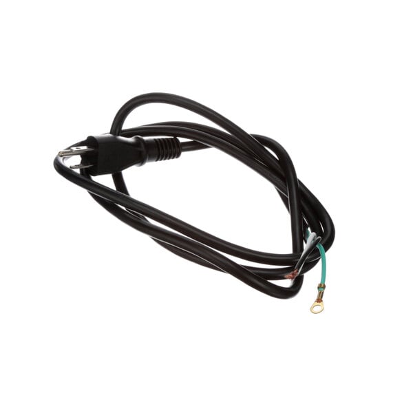 A black APW Wyott electrical cord with a plug.