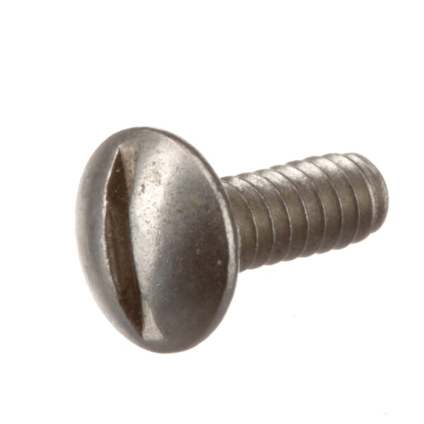 A close-up of a Champion truss head screw.