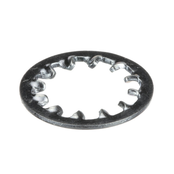 A close-up of a silver Bunn lock washer, a metal ring with holes in it.