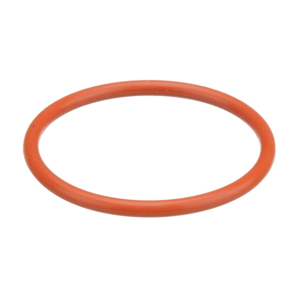 An orange rubber O ring.