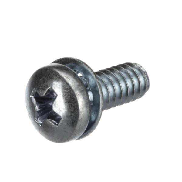 A close-up of a Lancer screw with a hole in it.