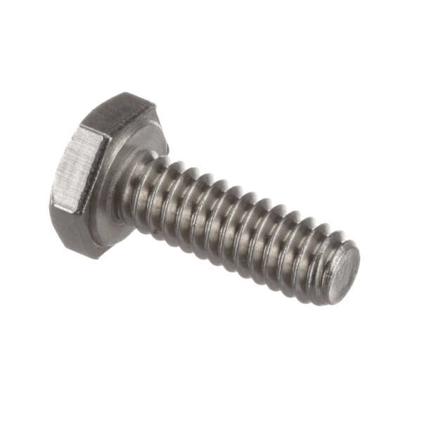 A close-up of a Blakeslee hex head cap screw.