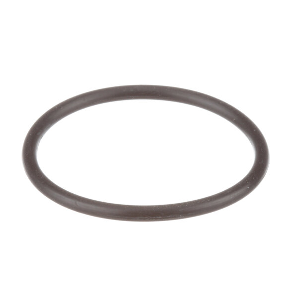 A black rubber o-ring on a white background.