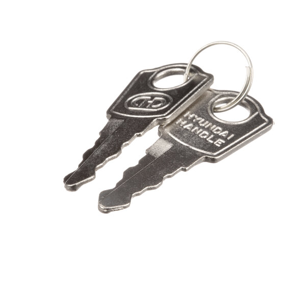 A pair of Master-Bilt keys on a ring.