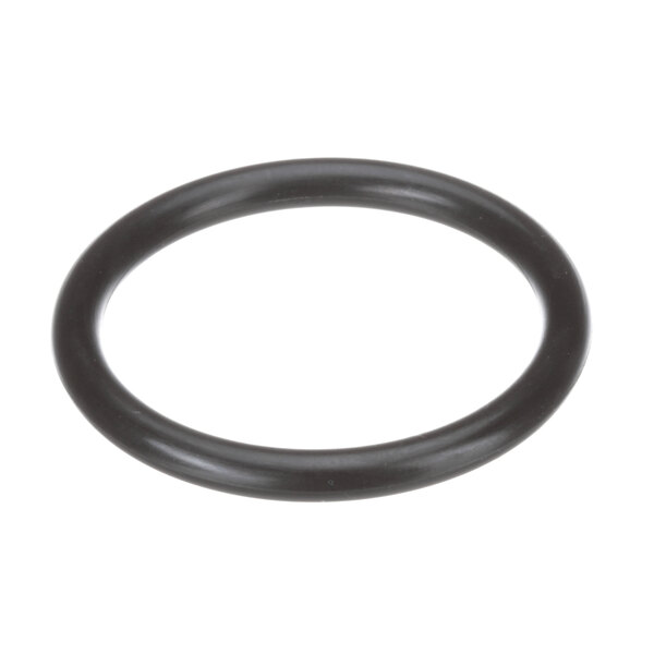 A black round Encore D10-X021 O-Ring.