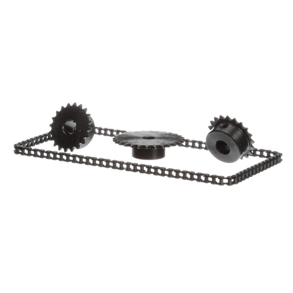 A black chain with two gears on it.