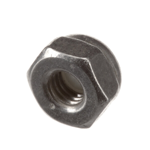A close-up of a black Champion nut.