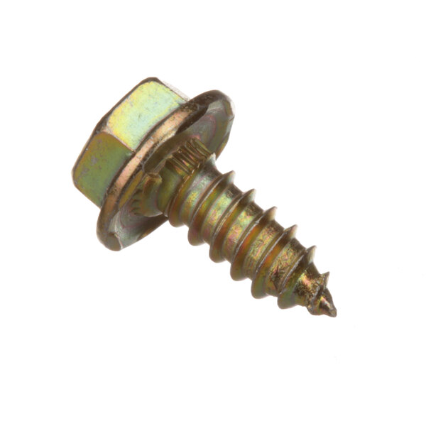 A close-up of a Bunn screw with a nut on it.