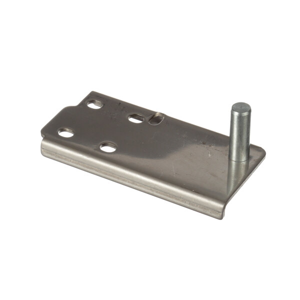 A metal plate with two holes and a bolt.