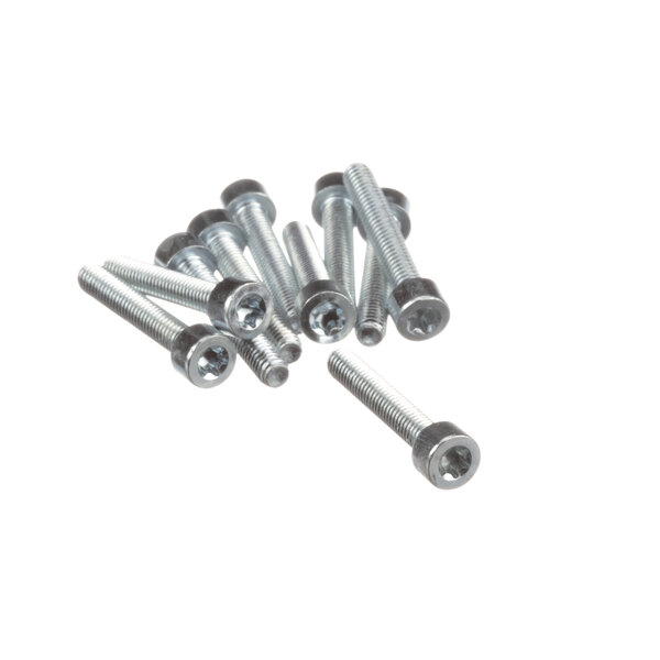 A pack of Rational pan head screws with a Torx T20 head.