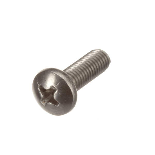 A close-up of a Groen 137766 screw.