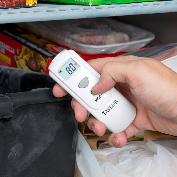 Taylor Infrared Thermometer Review: Worth the $100—Seriously