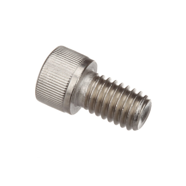 A close-up of a Champion screw with a metal head.