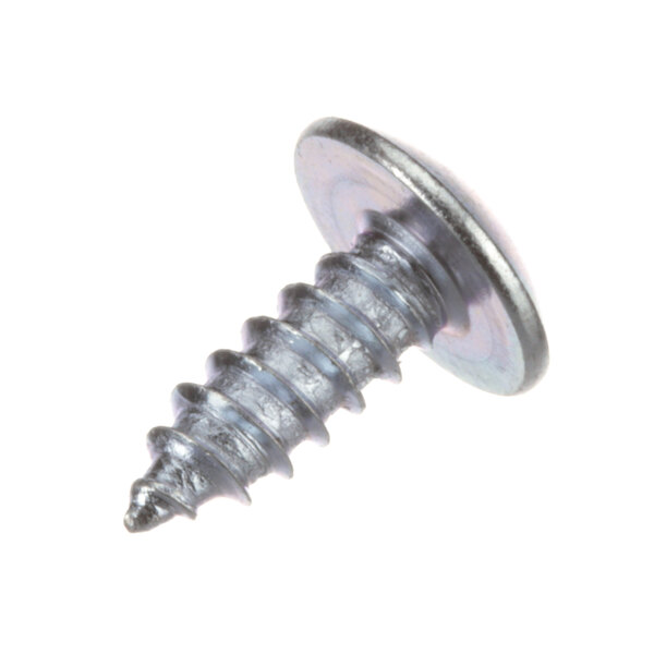 A close-up of a Southbend screw with a metal head.