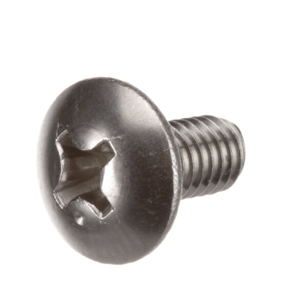 A close-up of a Hoshizaki truss head screw with a hole in it.