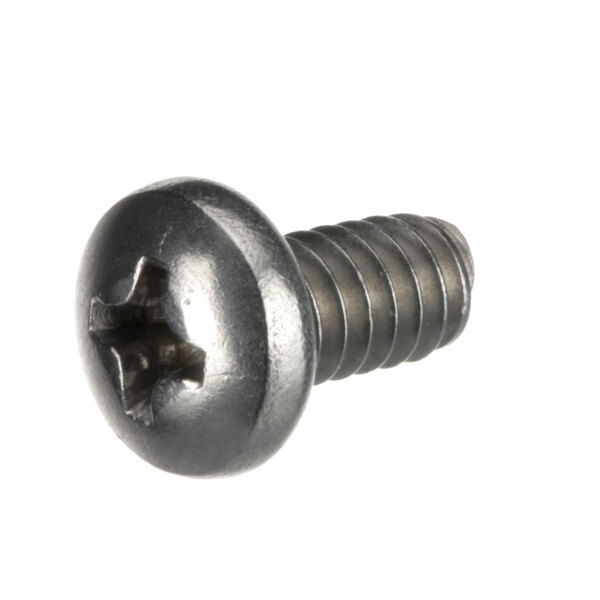 A close-up of a Delfield 9324072 stainless steel screw with 10-24 threads.