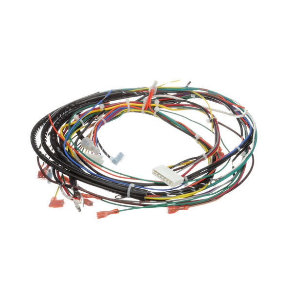 A close-up of a Cleveland KGT steam equipment wiring harness with several colored wires.