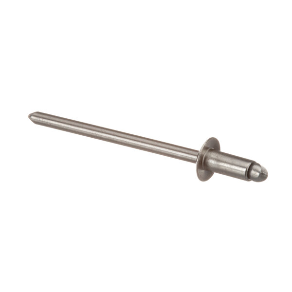 A close-up of a stainless steel Aladdin rivet.
