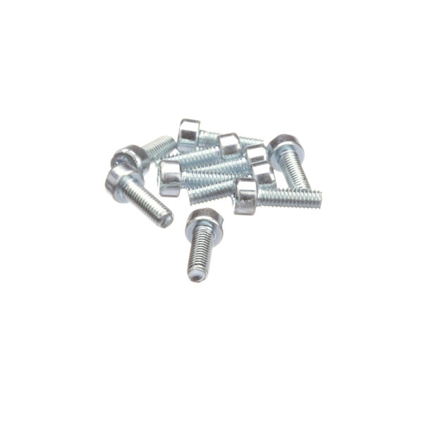 A pack of Rational pan head Torx screws.