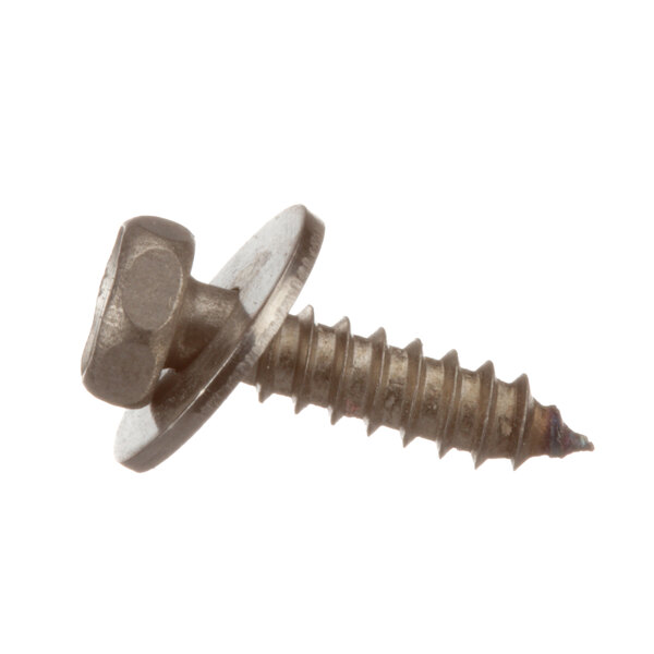 A close-up of a Rational hex self tap screw.