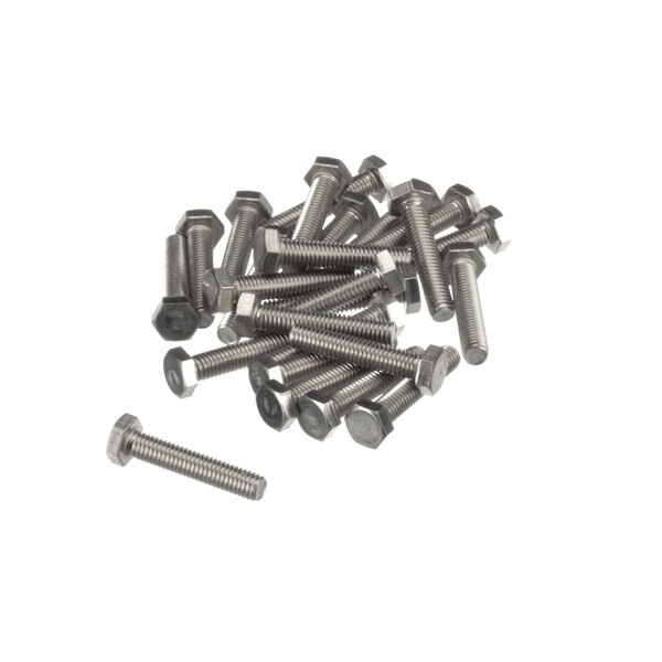 A pile of Frymaster screws.