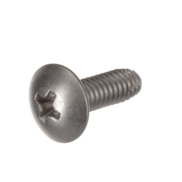 A close-up of a Delfield 9321155 screw.