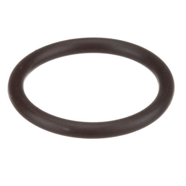 A black round SaniServ O-ring.