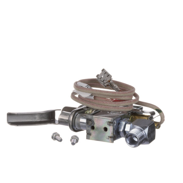 Frymaster 8101830 Pilot Assy,Nat.024