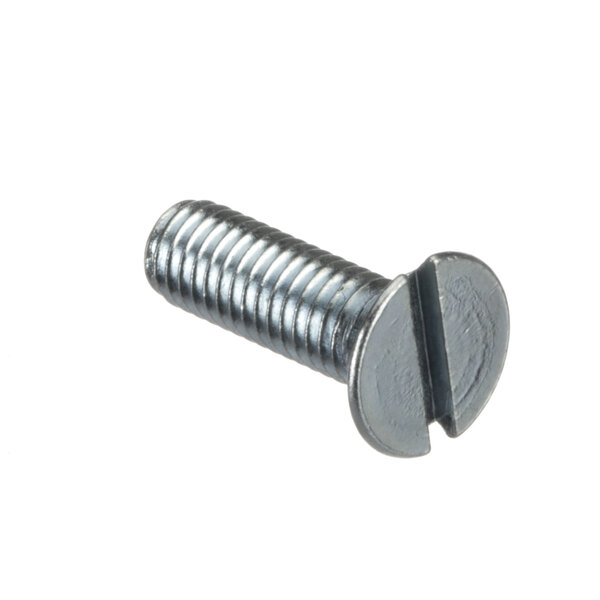A close-up of a Berkel screw with a flat head.