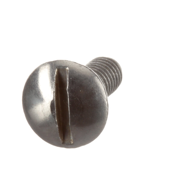 A close-up of a Blakeslee truss head screw with a metal finish.