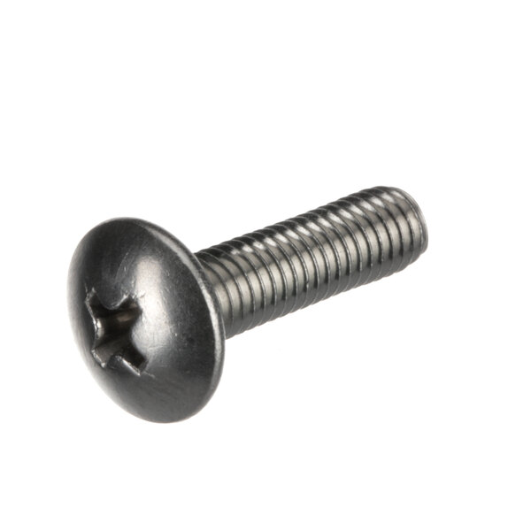 A close-up of a Henny Penny SC01-075 screw.