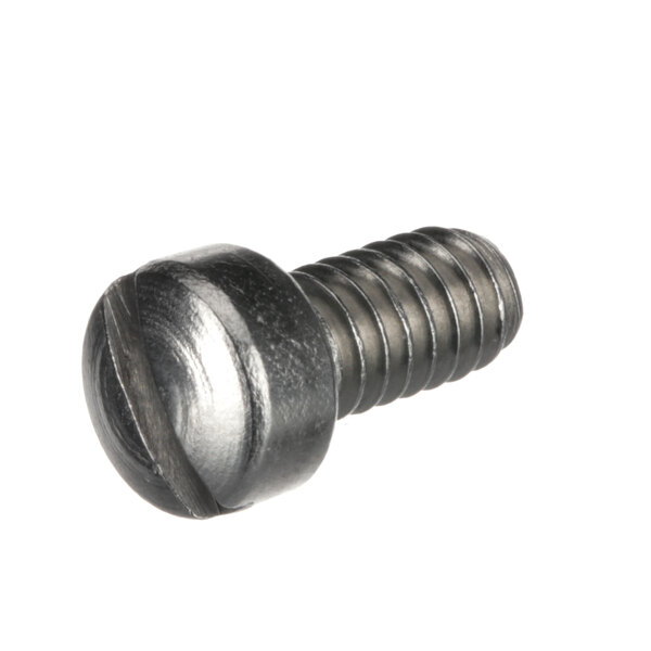 A close-up of a Hobart metal bracket machine screw with a metal head.