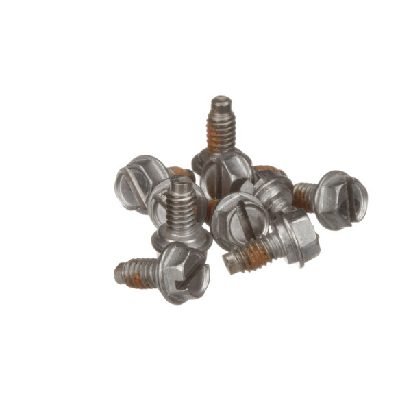 A group of Antunes screws on a white background.