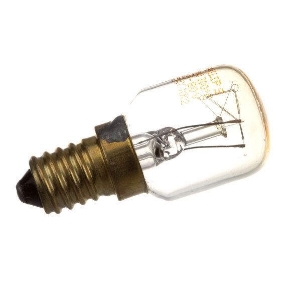 A close-up of a Blodgett 31741 clear light bulb with a small bulb on top.