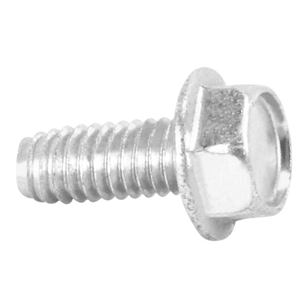 A close-up of a Delfield screw with a hex head.