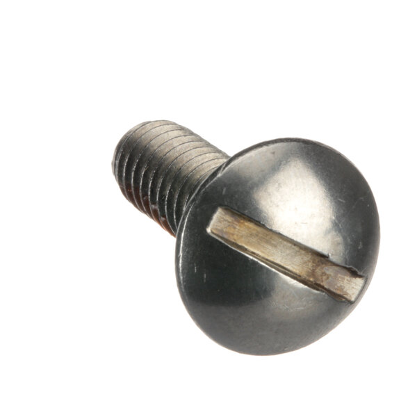 A close-up of a Hobart SC-122-46 screw with a metal head.