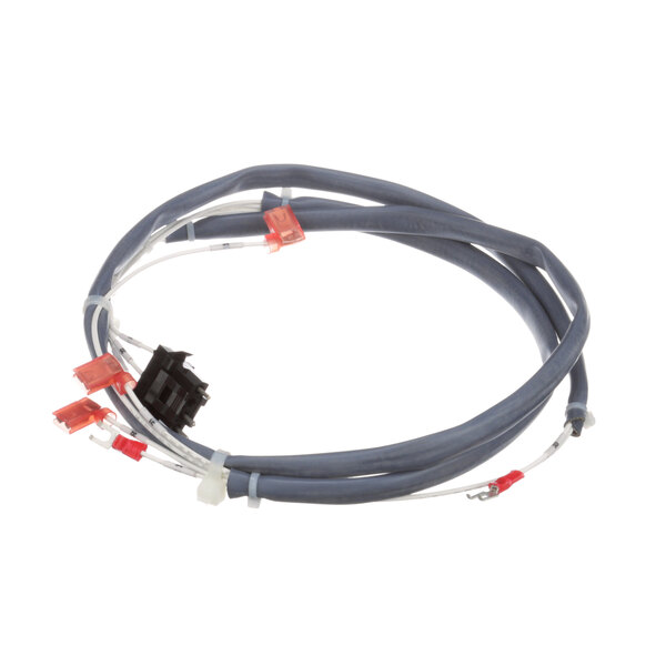 A black and white Vulcan wire harness with blue and red wires.